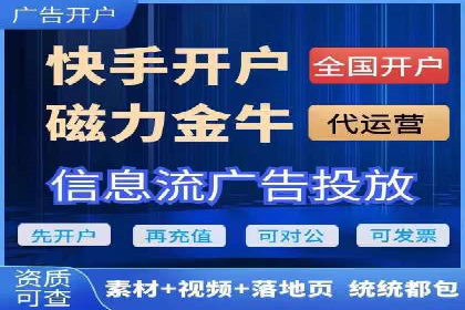 网络推广秘籍：竞价排名成功案例集锦